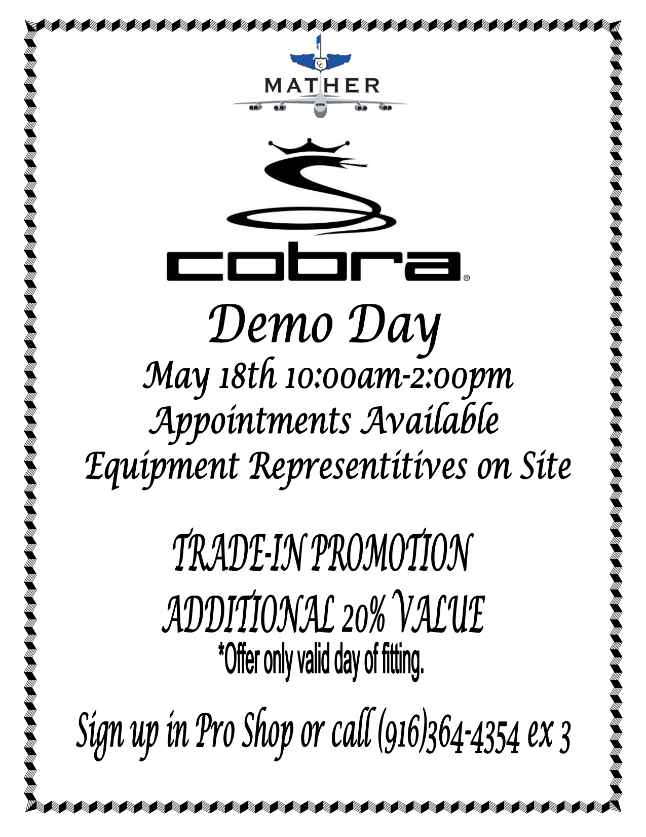 Cobra Demo Day